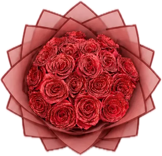 Red roses in red wrap, dozen roses Orlando